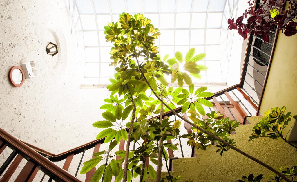 Hotel La Boutique Arequipa